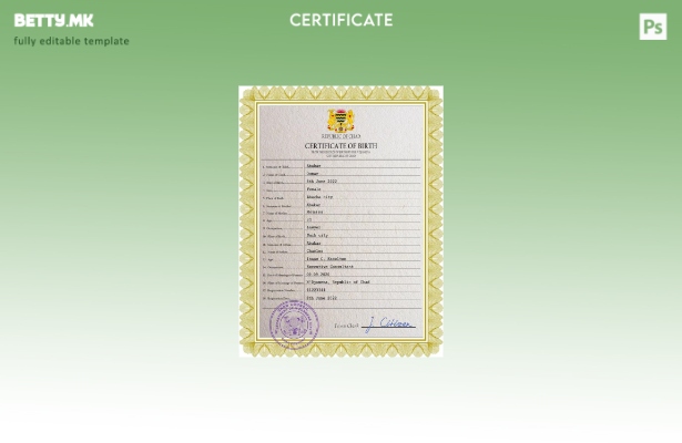 модерен стил Чад витален рекорд на извод од матична книга на родените ПСД шабл